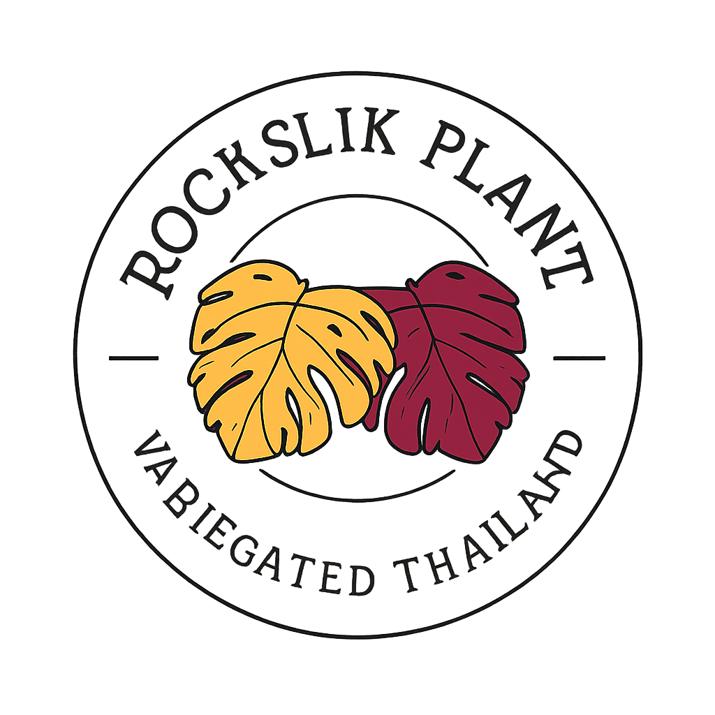 rockslikplant.com